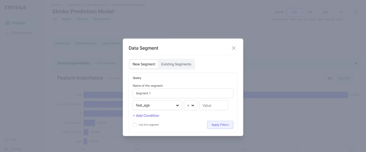 The creation of data segments to focus on feature attributions for a specific subset of observations