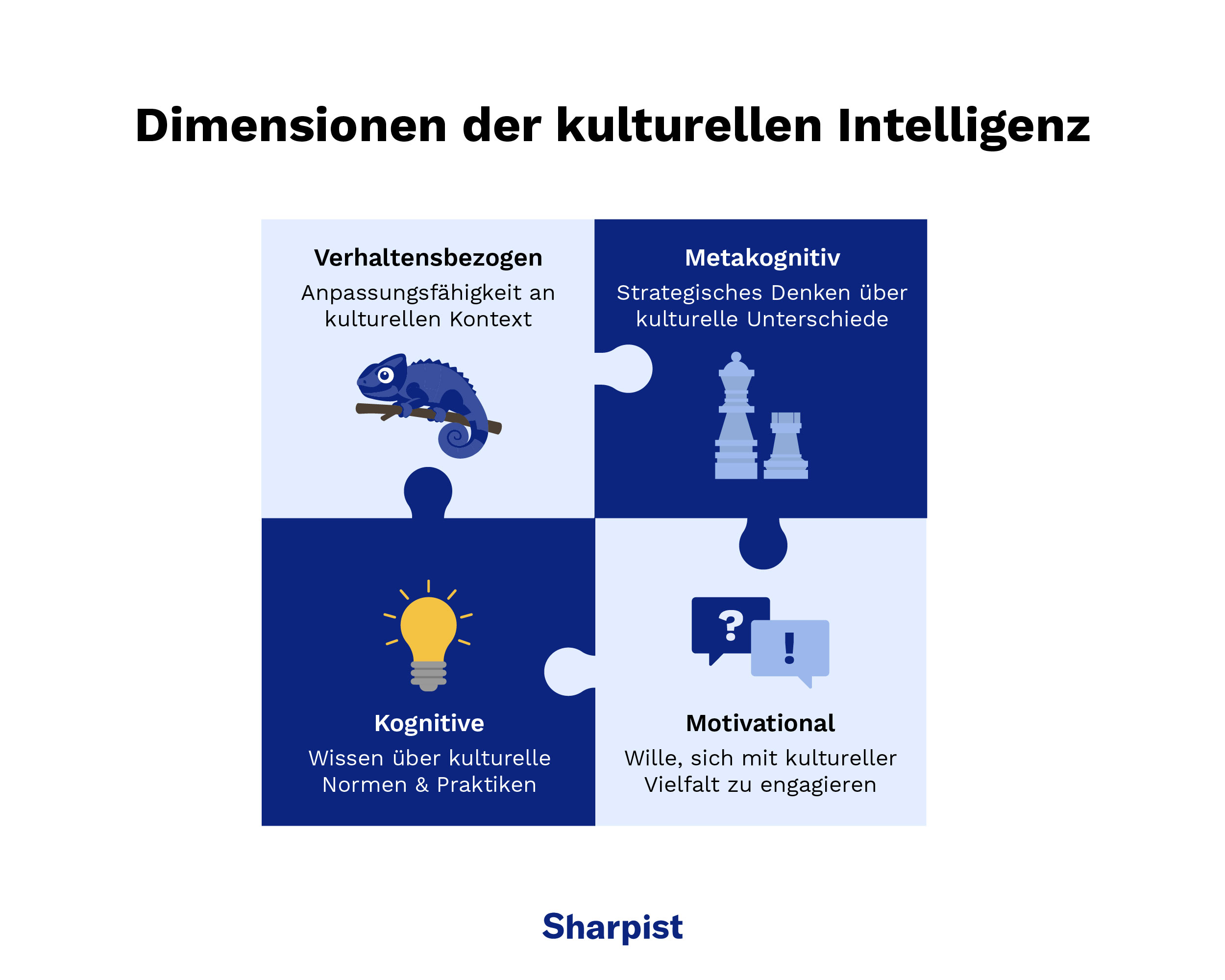 Dimensionen der kulturellen Intelligenz