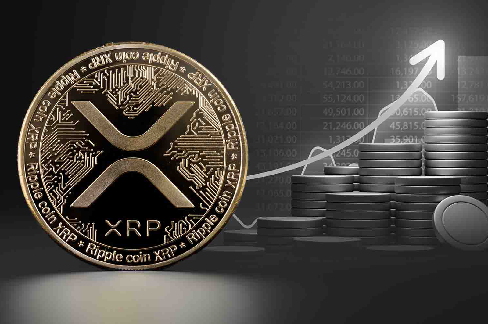 Description of image 1