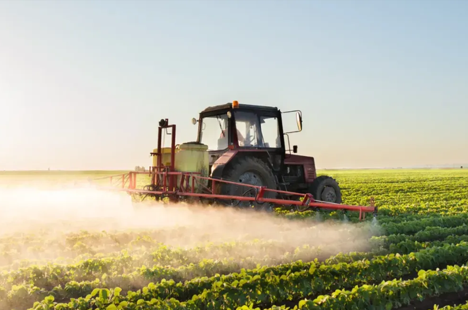 Description of image 1