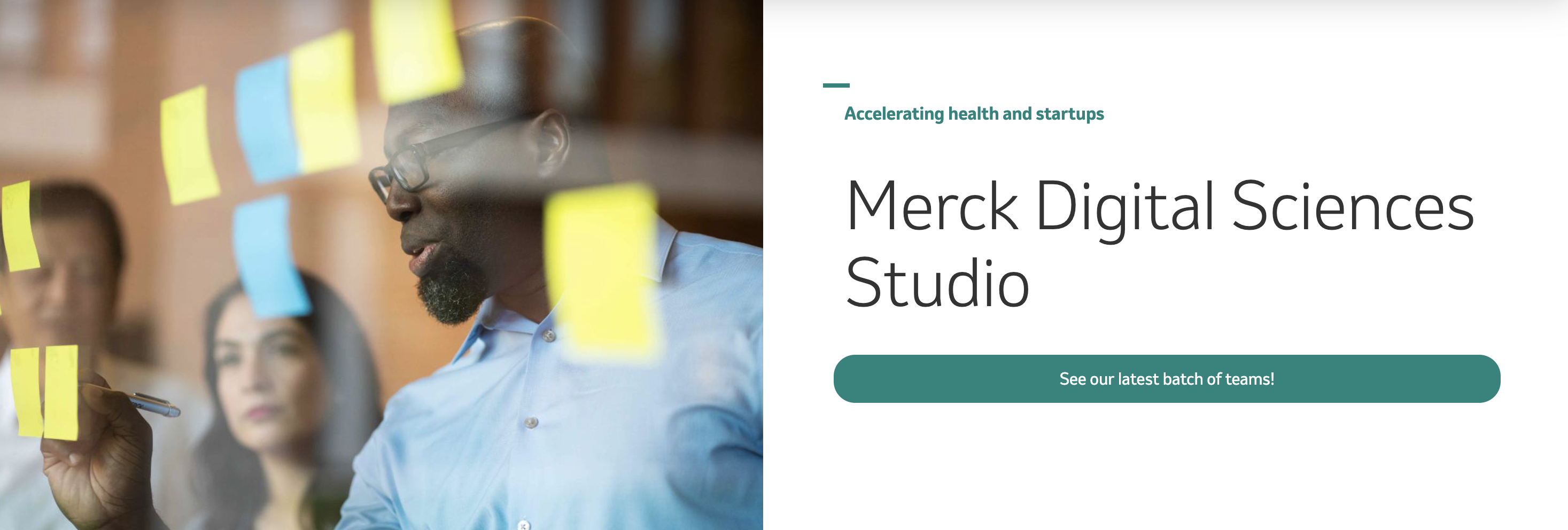 Merch Digital Sciences Studio