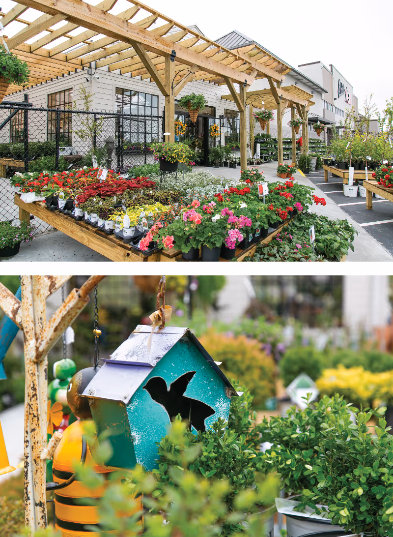 Outdoor garden center with colorful potted flowers on tables under wooden pergola and close-up of a green birdhouse with a butterfly-shaped cutout surrounded by greenery.