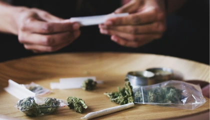 CBD+
