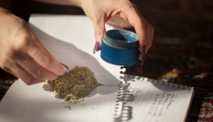 CBD & le THC