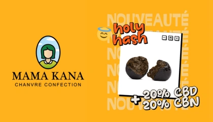 Holy Hash CBD