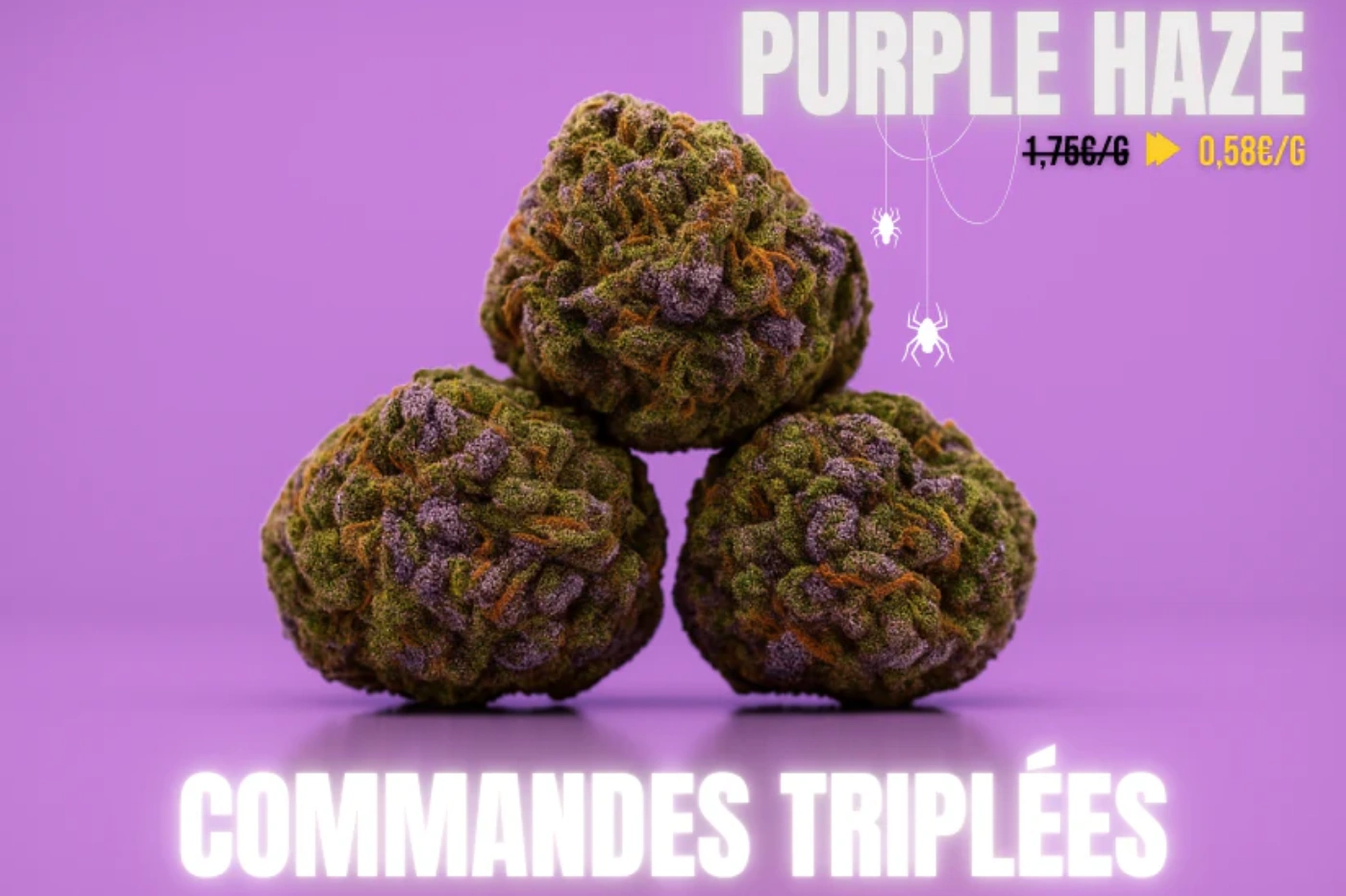 Purple Haze Mama Kana