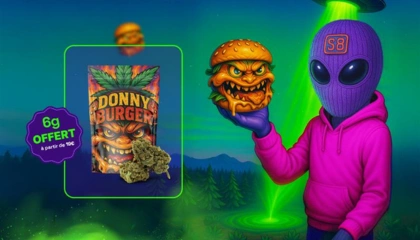 Bannière publicitaire Sixty8 avec un alien et une fleurs de CBD