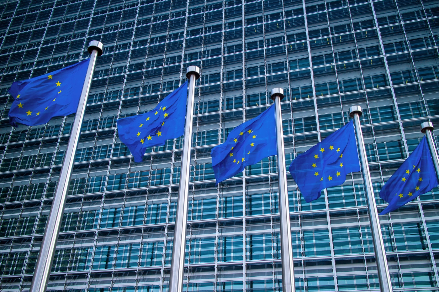 Drapeaux UE devant le parlement