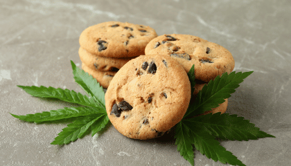 CBD influence-t-il l'appétit