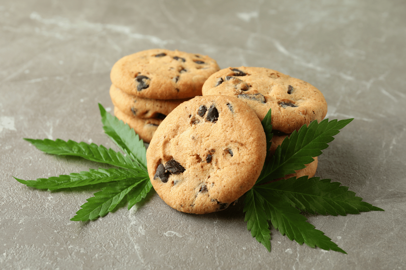 CBD influence-t-il l'appétit