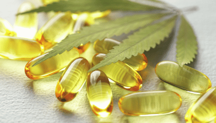CBD et compléments alimentaire