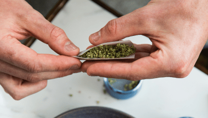 CBD effets