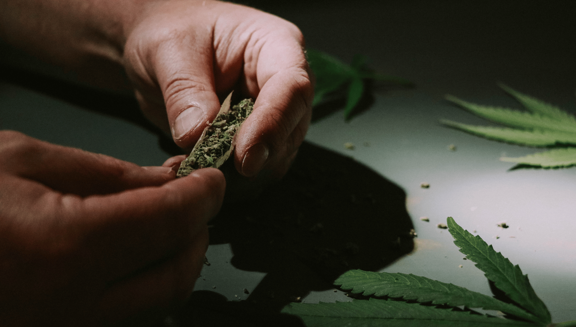 CBD et productivité