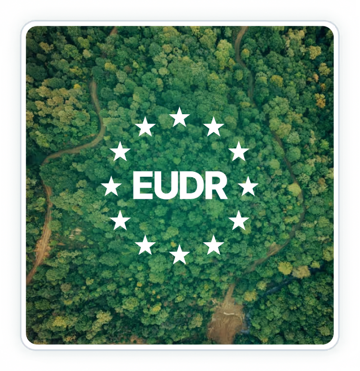Vista aerea di una foresta verde con il testo 'EUDR' al centro circondato da una corona di stelle bianche.