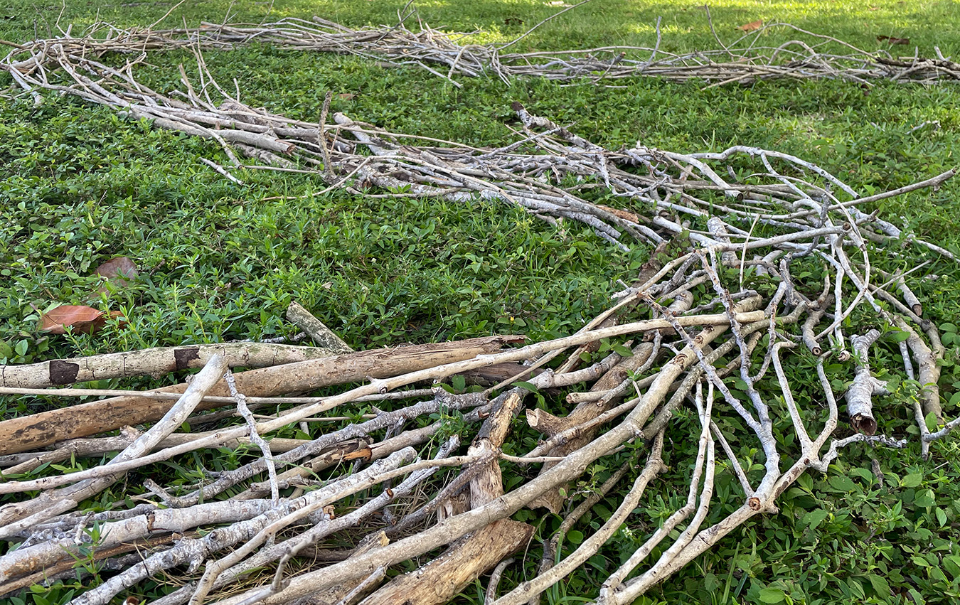 Branches woven together on the ground in a flowing, organic line