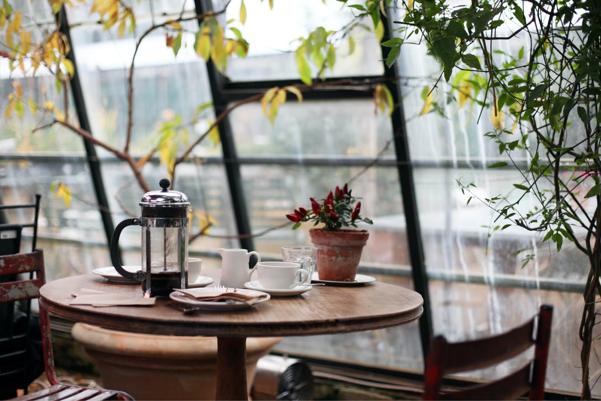 Nature Café