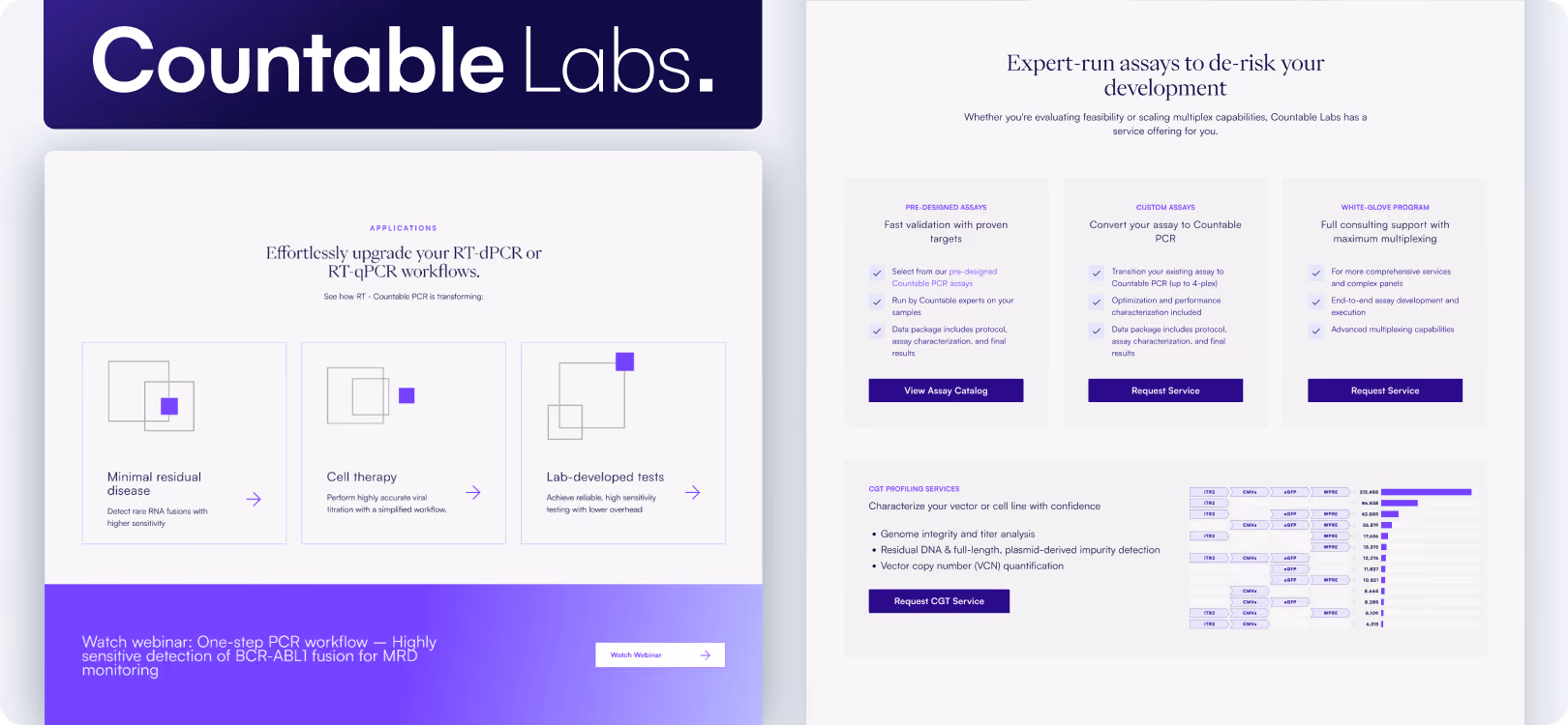 Landing page we created for Sendlane in Webflow.