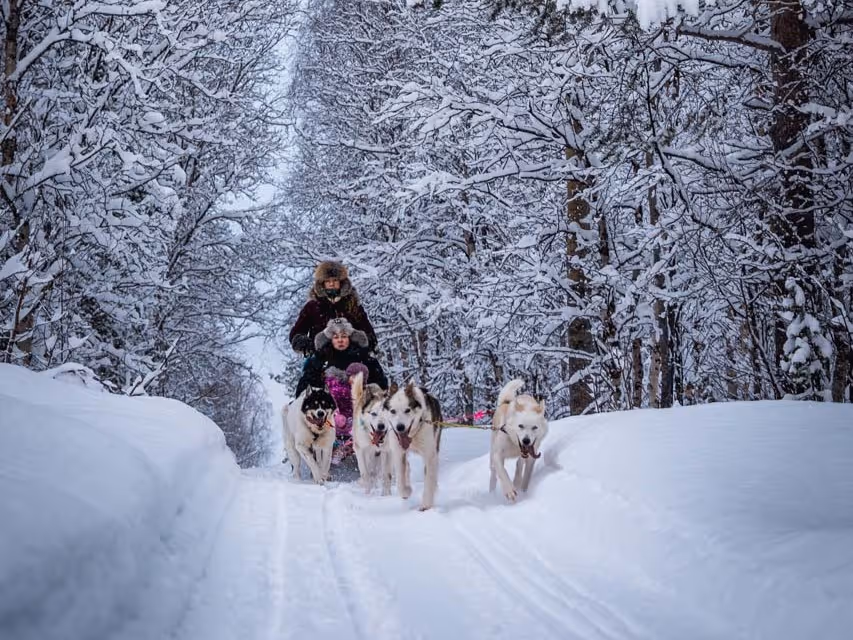 Two people riding a dog sled pulled by four sled dogs on a snowy forest trail.