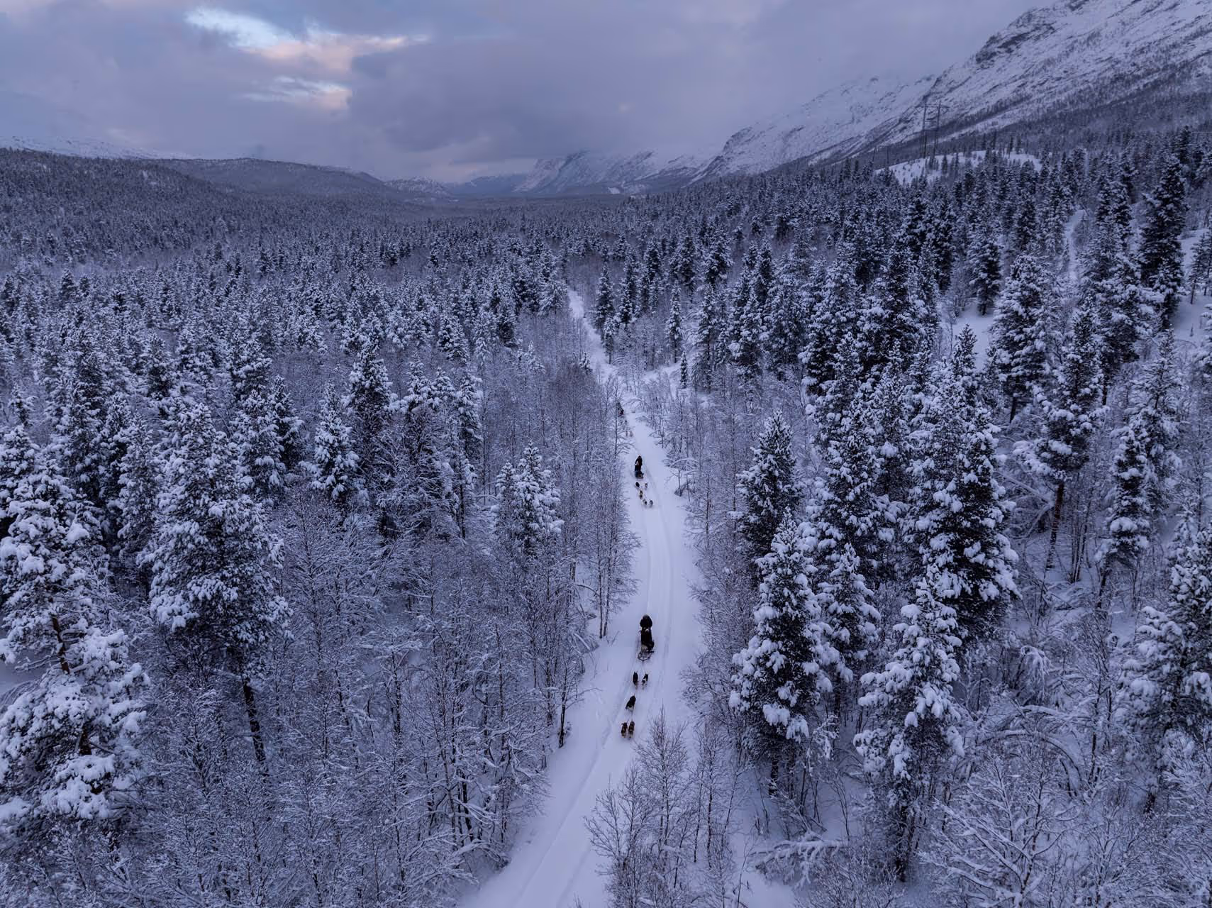 Snow-covered forest landscape with two dog sled teams traveling on a narrow snowy trail through the trees.
