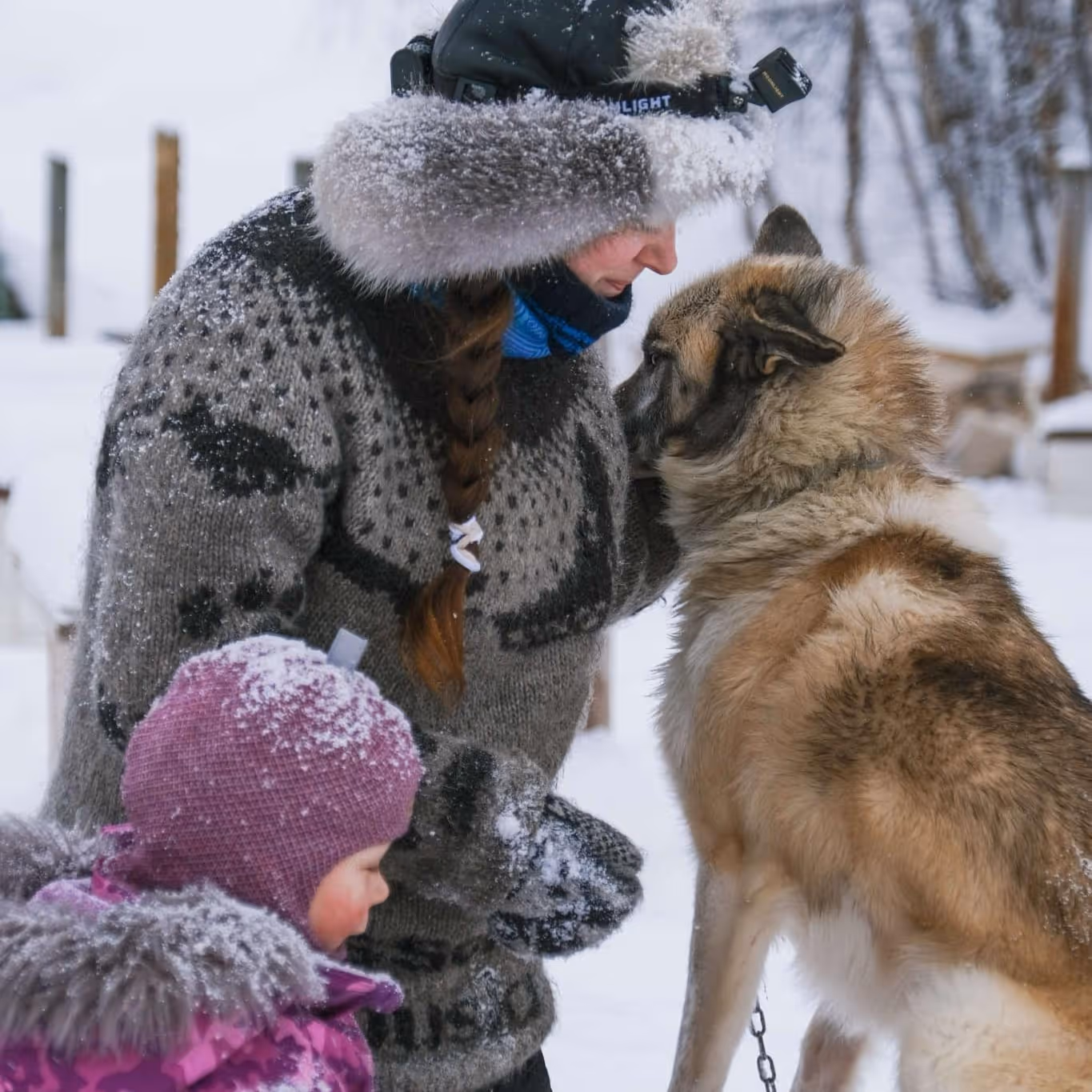 A person in a knitted sweater and fur-lined hat gently touching the face of a large dog in a snowy outdoor setting with a child dressed in pink nearby.