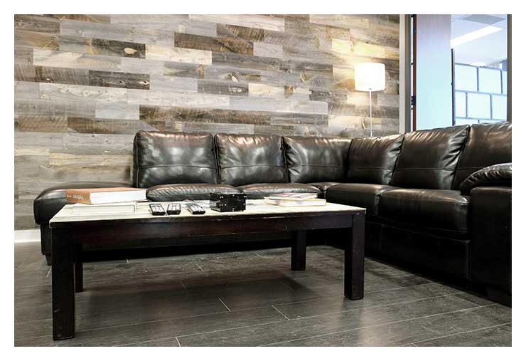 living_room copy