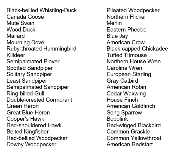 2025_09-06 Stebbins Refuge Morning Walk