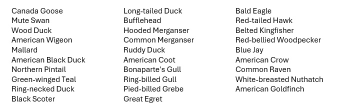 2025_11-01 Berkshire Lakes