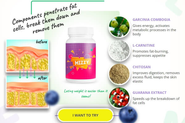mizzy ingredients garcinia, l-carnitine. chitosan, guarana
