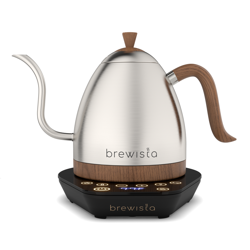 Brewista Artisan 1.0L Gooseneck Variable Kettle – Stainless Steel