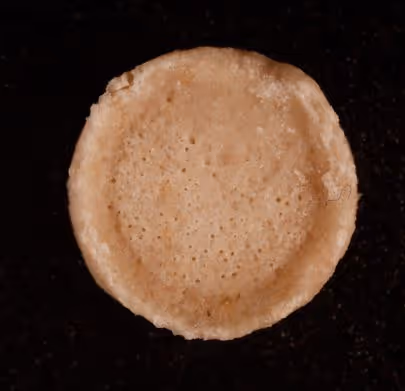 Zweites Bild der getesteten Substanz