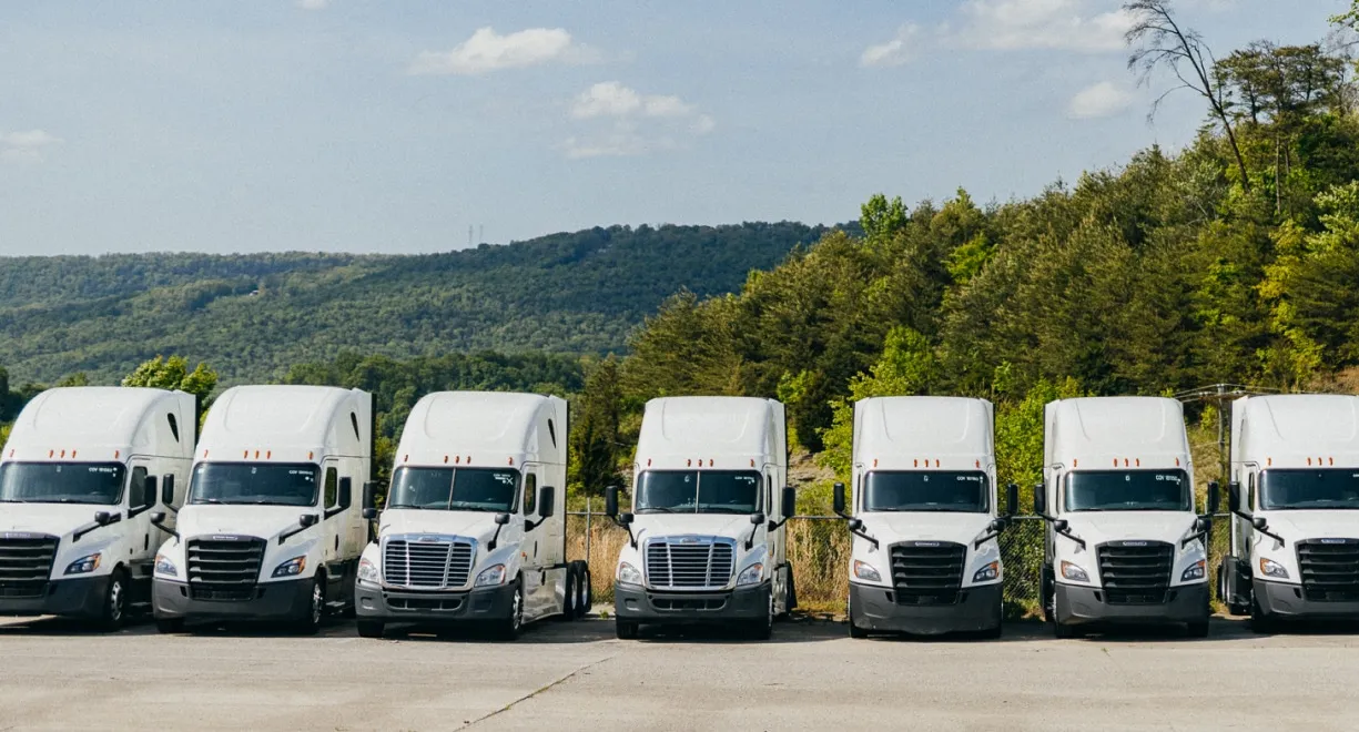white trucks lined up in one row