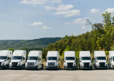 white trucks lined up in lot