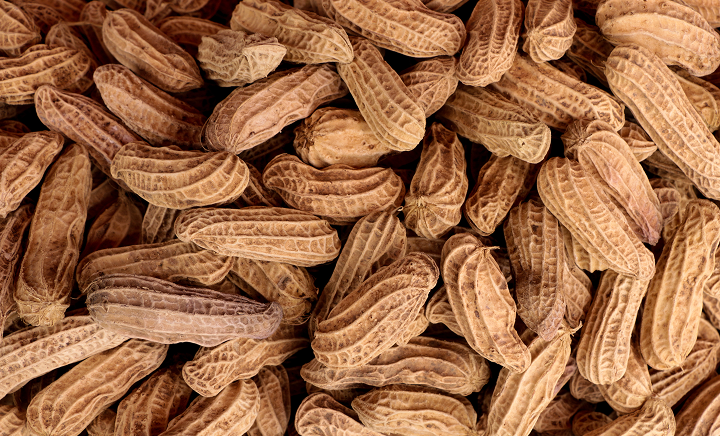 Edible nuts and nut products