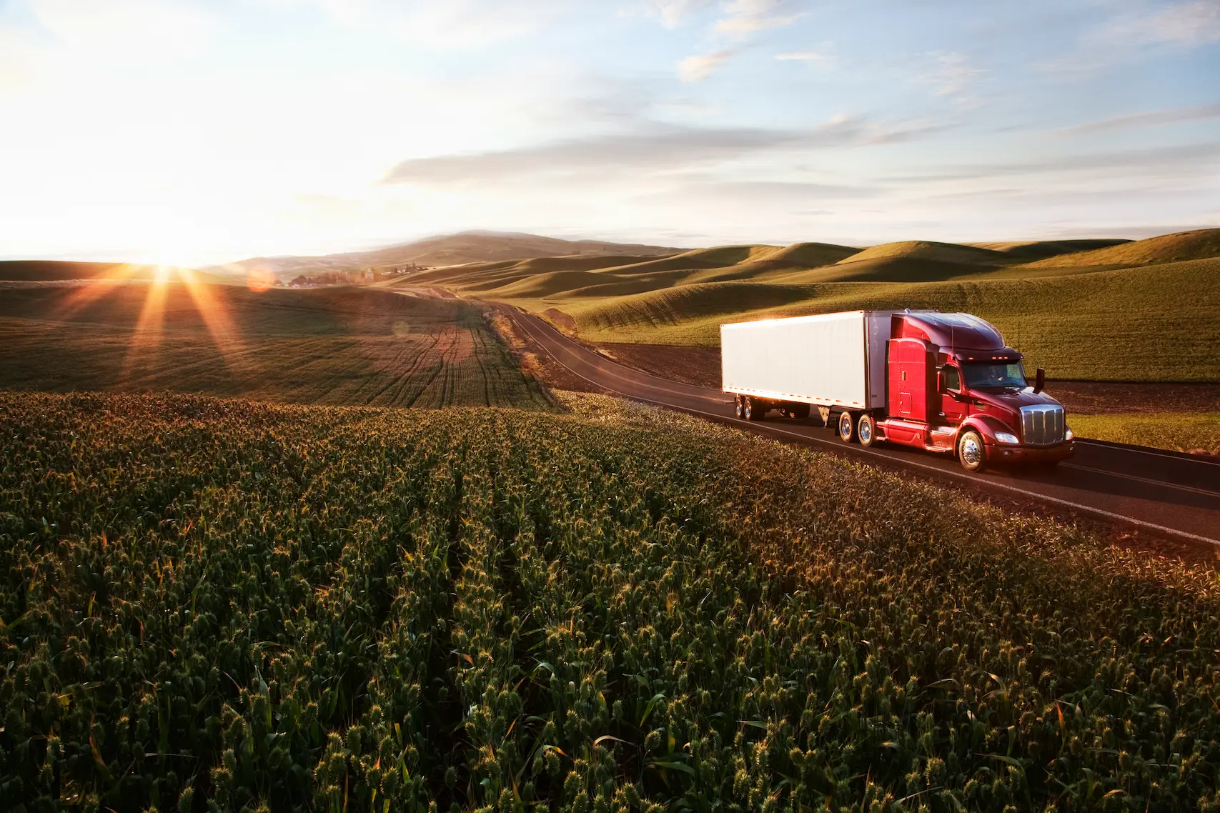 Sims Transport Services Llc fleet
