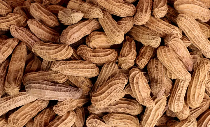 Edible nuts and nut products