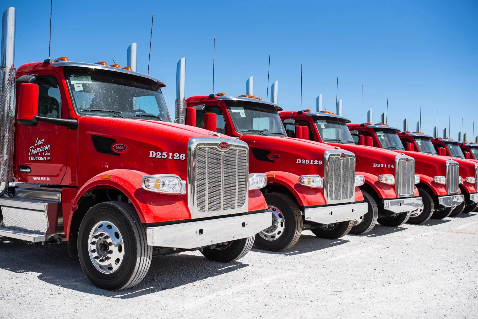 Red Lew Thompson and Son Trucking tractors lined up at the yard