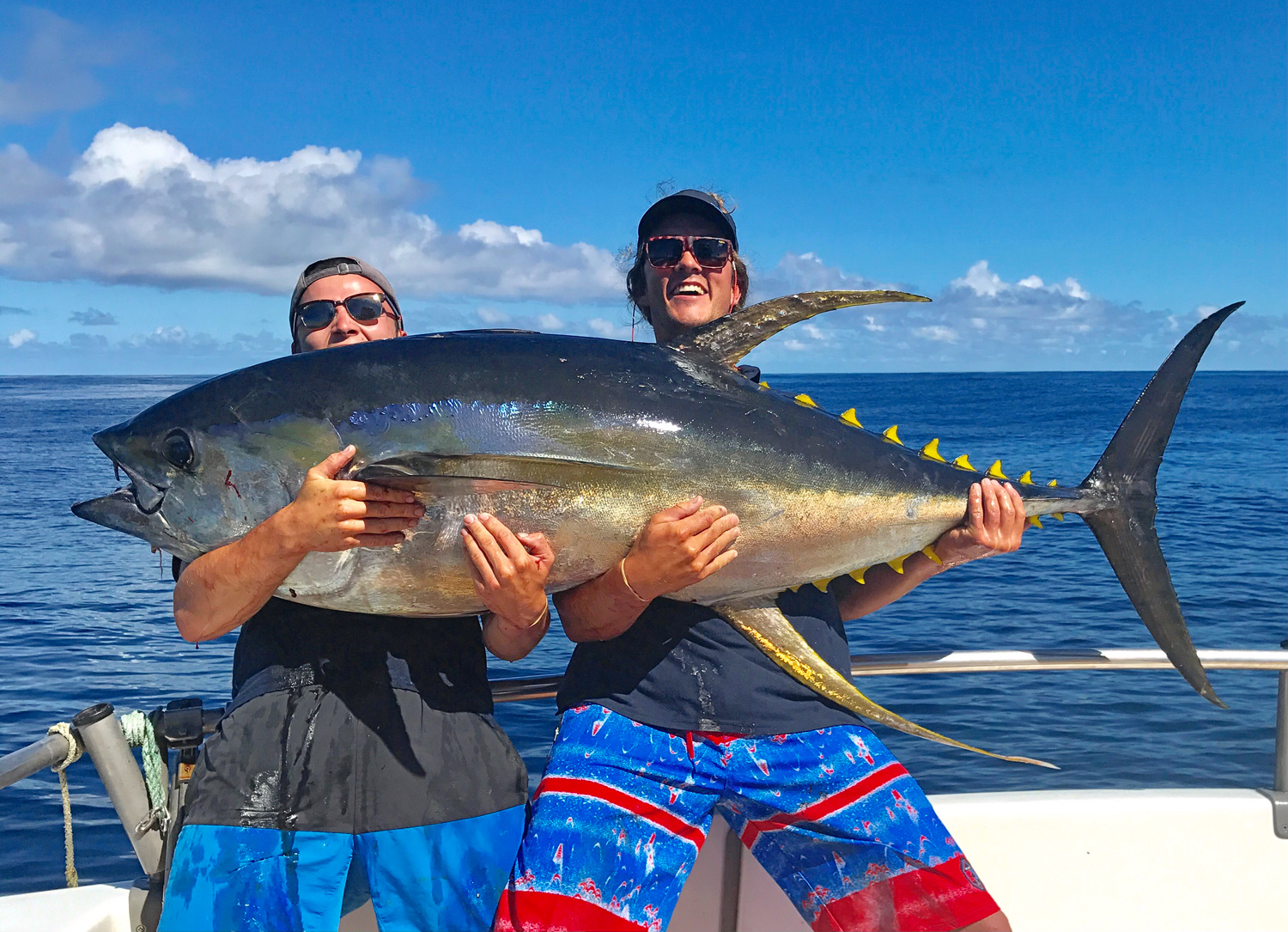 The rise, fall and  return of yellowfin tuna