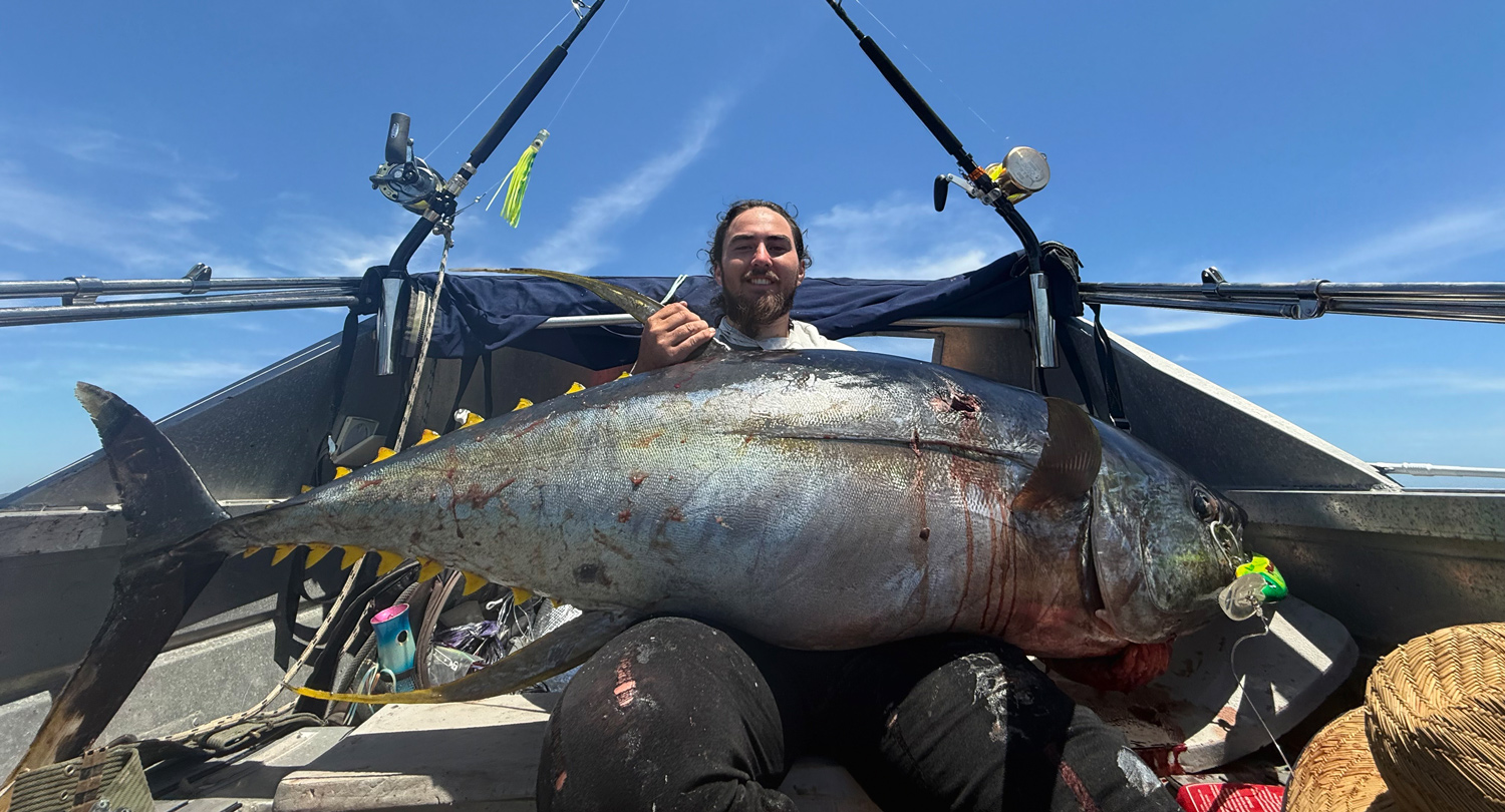 Tinny takes on the big boys