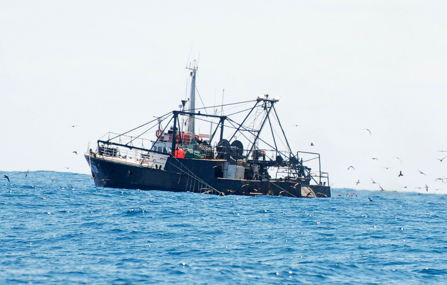 Bottom trawling must go
