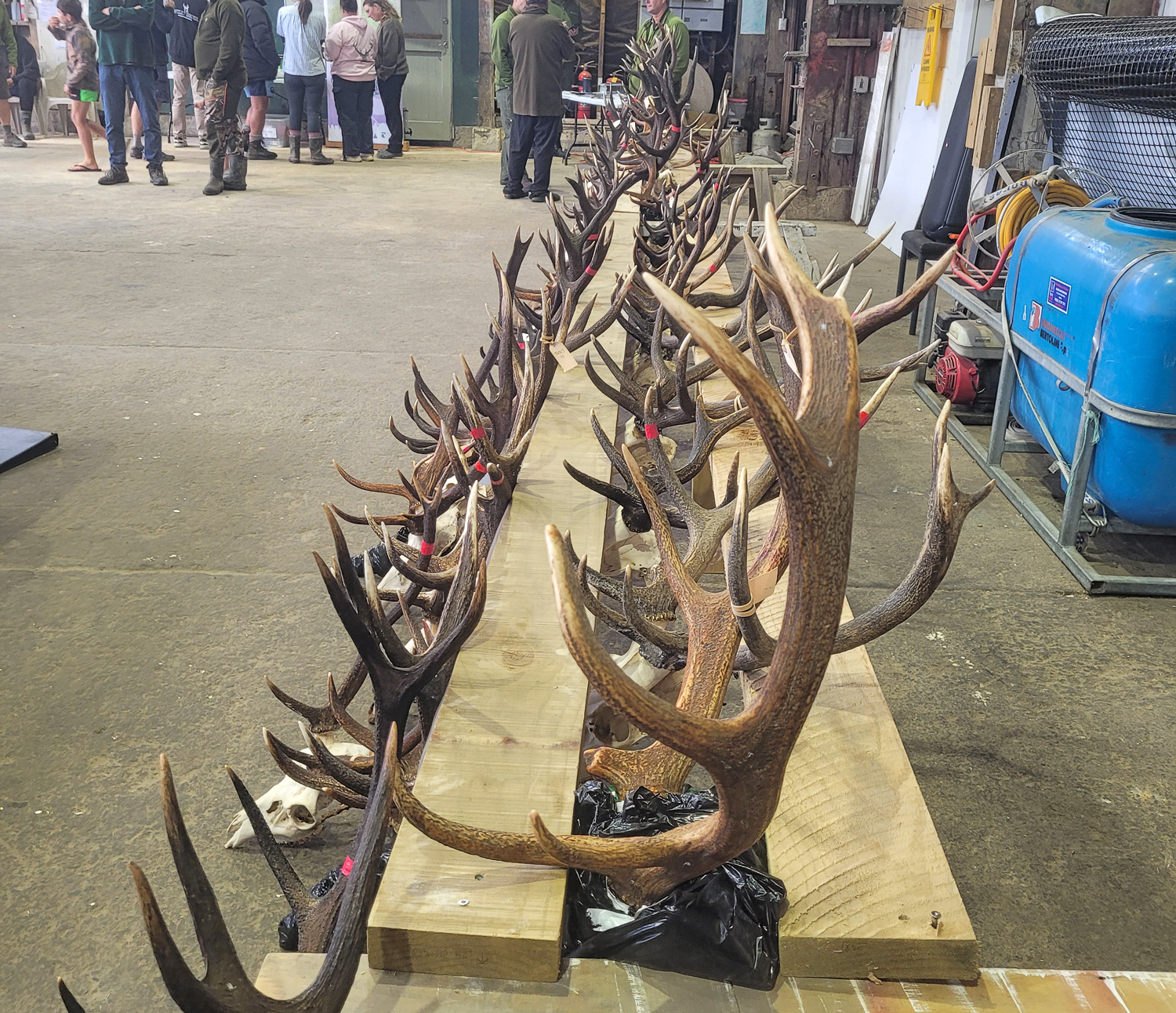 New faces sought for Pureora Hunting Competition