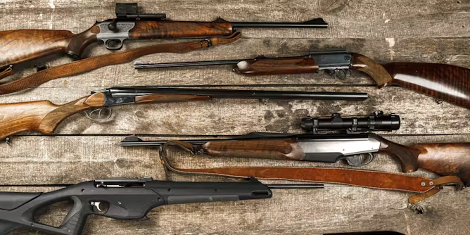 New firearms law  looking promising