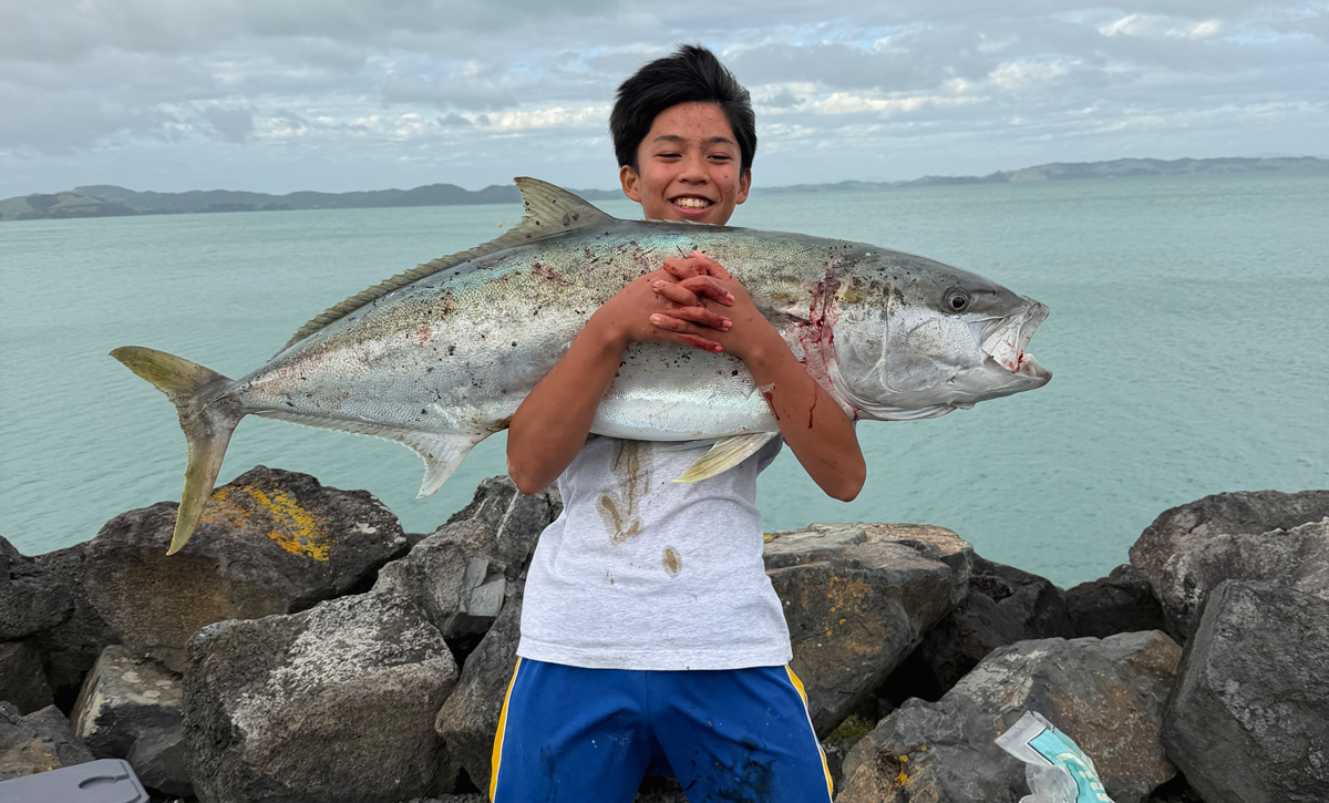 Autumn conditions deliver quality kingfish
