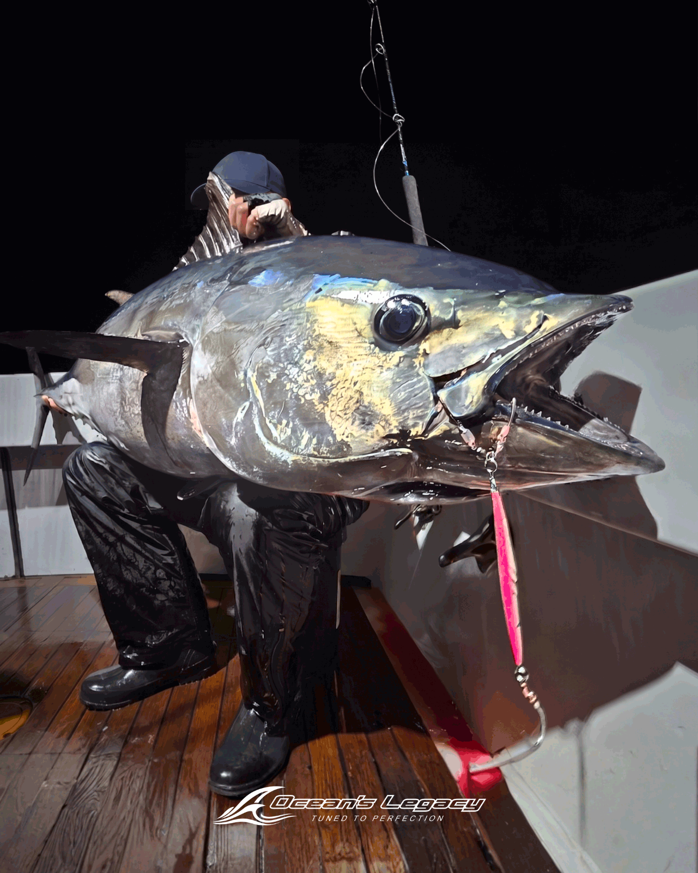 Bluefin After Dark