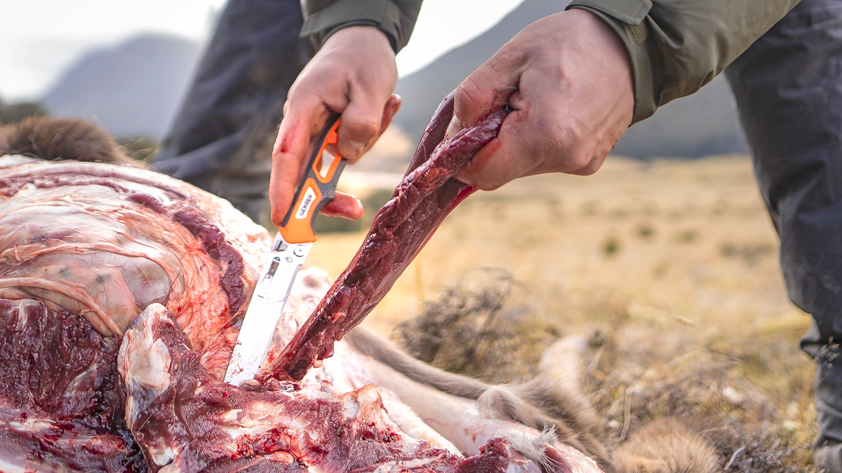 Growing wild game meat donations through Hunt and Share