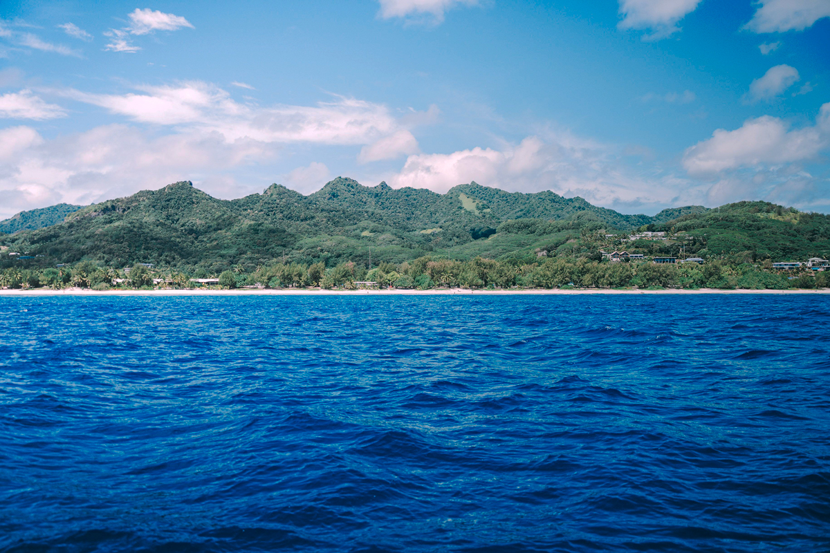 Dogtooth Dreams in Rarotonga