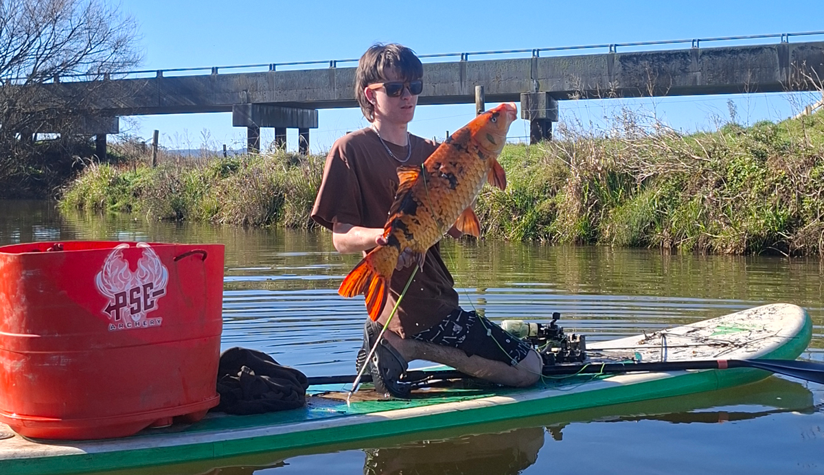 Paddling for Koi: Bowfishing the Far North