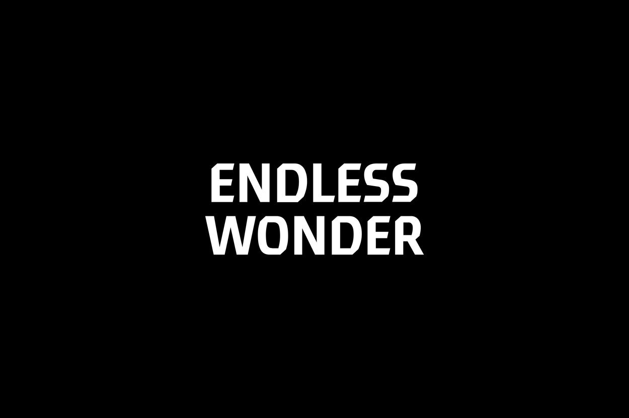 Endless Wonder