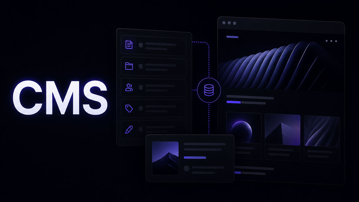 Exemple de CMS Webflow utilisé pour gérer l’annuaire professionnel Ancor’ElleS