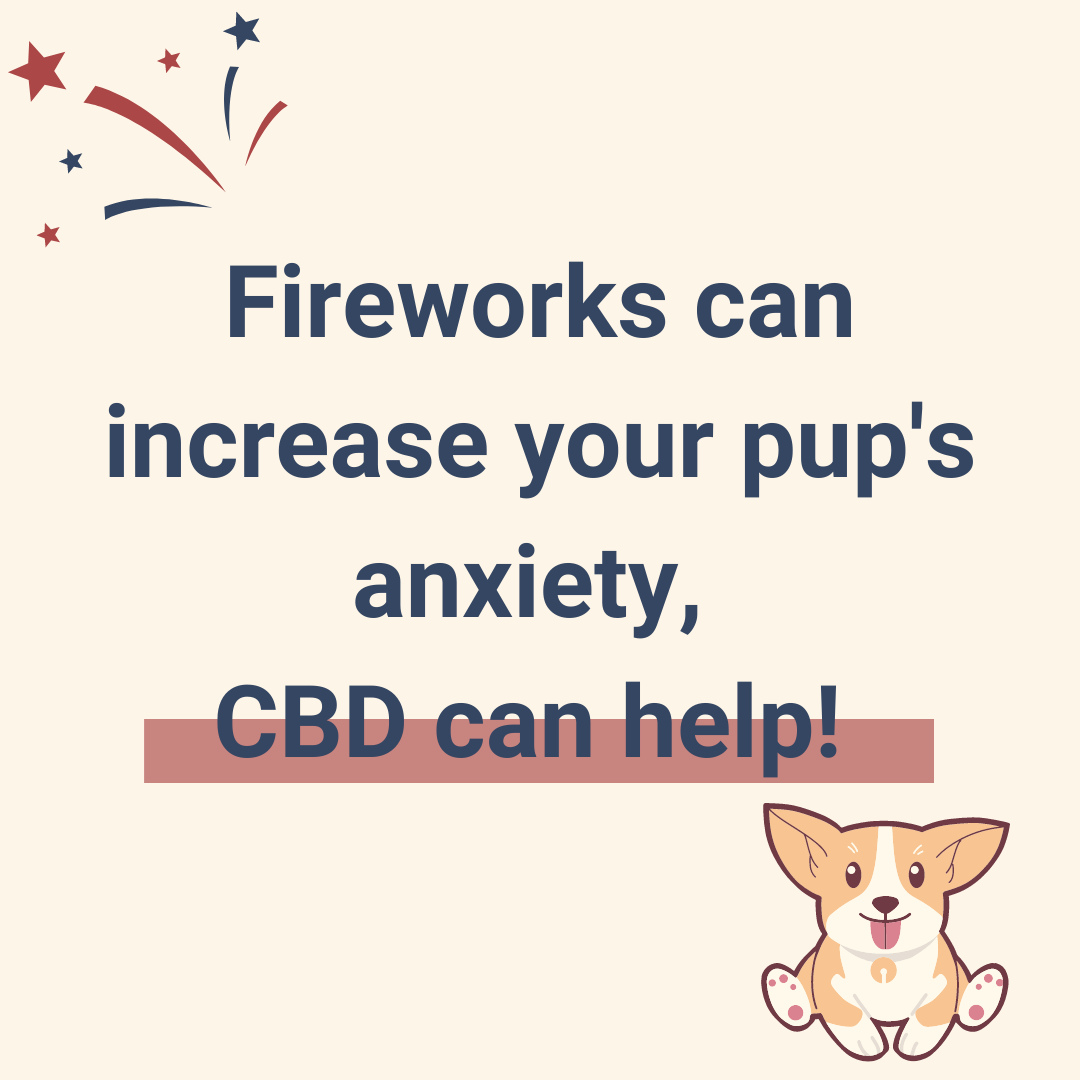 4th of July - CBD for Dogs