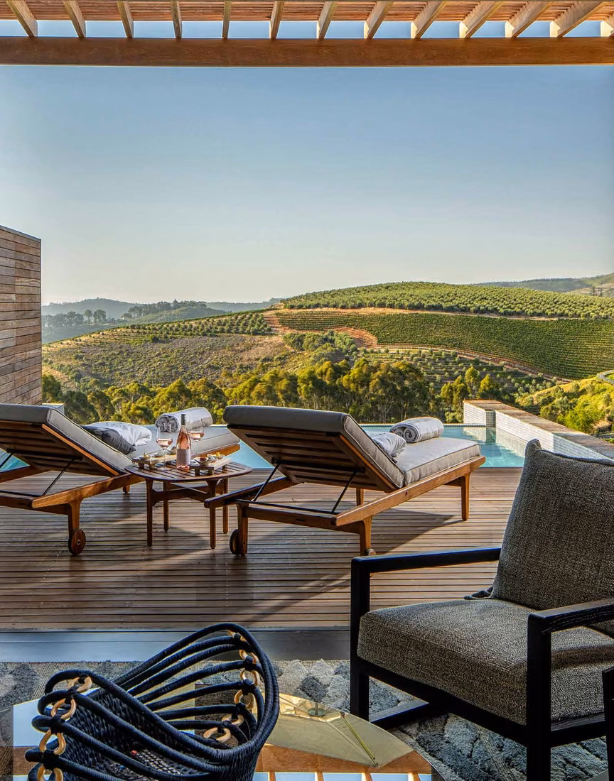 The Winelands, vineyards from a terrace